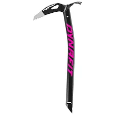 DNA ICE-X